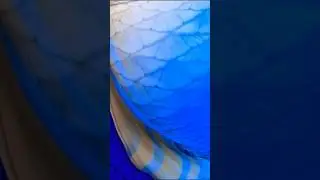 Realistic Mermaid Tail Malaysia. Subscribe to see more! #shorts #viral #putriduyung
