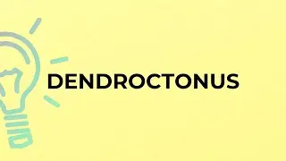 What is the meaning of the word DENDROCTONUS?