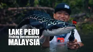 Lake Pedu Fishing Documentary | Tasik Pedu Malaysia | Canon EOS R5C Canon R3 |DJI Mavic 3 |