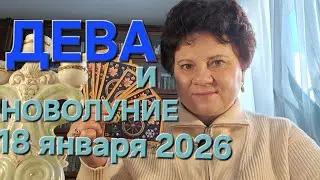 ДЕВА, Вам сюрпризы от детей 🫢. Новолуние в 5 доме гороскопа.