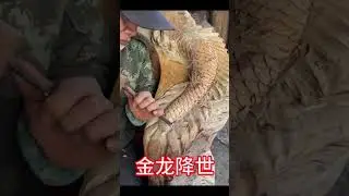 Cariving a Realistic Wood Lion🦁 Wood Carving |Wood Sculpture  @WoodArtistry1 #woodworking #wood