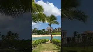 Aulani Disney Resort and Spa #disney #aulani