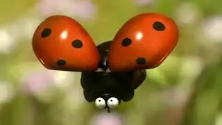 Animated short film, insect love story.