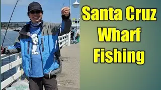 Santa Cruz Wharf Fishing: A relaxing day