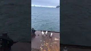 Lago de Maracaibo hoy