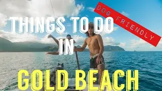 Dog Friendly Things To Do In Gold Beach Oregon