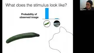 Ma Lab research talk: A neural code for probabilistic computation in visual cortex.