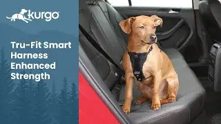The Tru-Fit Smart Harness Enhanced Strength | Crash Tested Dog Safety Harness