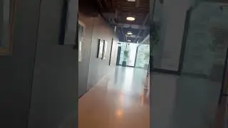 Inside the Chicago Bulls Secret Practice Gym on Green Street | Exclusive Tour & Behind the Scenes
