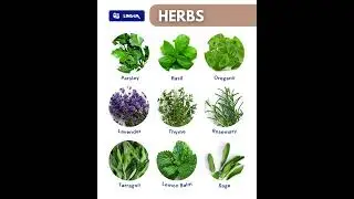 English Vocab: Herbs
