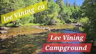 LOWER LEE VINING CAMPGROUND .  LEE VINING CA.