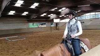Larissas bronzenes Westernreitabzeichen: Der Trail