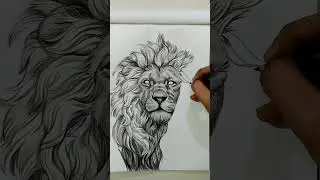 Realistic Pencil Drawing | Creative Lion Drawing #artwork #shorts
