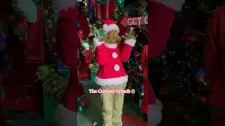 Funny grinch😂😂😂#universalstudios #funny #foryou #funnyvideo #themepark #disney #grinch #happy