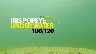 SPRO - IRIS Popeye 100 & 120 - Under Water
