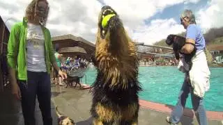 Poochey Paddle 2014