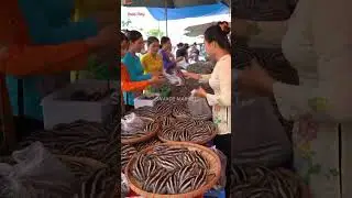 Exotic Animal Market in Asia: Shocking!@mfajar88