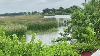 for natural relaxation and the sound of dripping water part 1