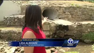 Grease spill: Cleaning up river contamination
