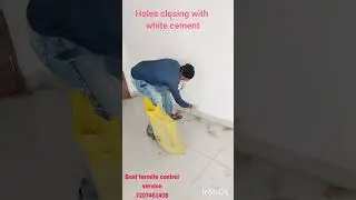 best termite control service Hyderabad | termite control service for new home constructions