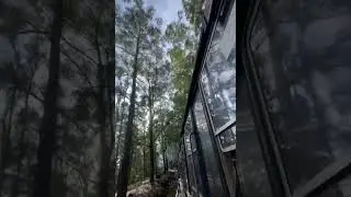Toy train #ooty #coonor #train #iam_immu
