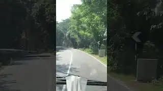 Green View Road