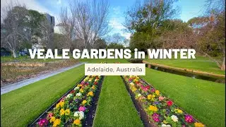 A stroll among the flowers of VEALE GARDENS (ambient sounds) | Adelaide, South Australia (4K HDR)