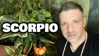 SCORPIO May 2022 ⭐️ WOW! WHY IS EVERYTHING ABOUT TO CHANGE | Option - Scorpio Horoscope Tarot
