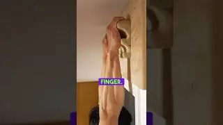 Increase your finger strength on a jug #climbing #hangboard #training