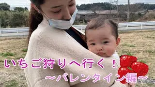 みいみ初めてのバレンタイン【生後６ヶ月】Valentine's Day vlog
