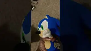 Tails is gay