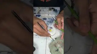 Mastering Color Blending!