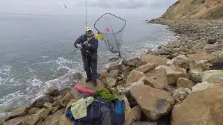 Catching Opaleye at Palos Verdes 1/5/2019