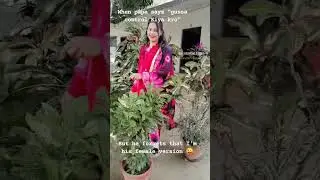 #nehashukla6348#reels