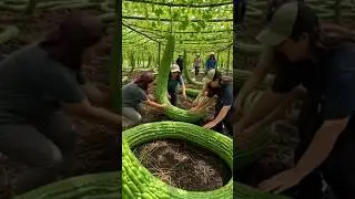 Giant Snake-Shaped Bitter Gourd! 🐍🥒 #Shorts #AI