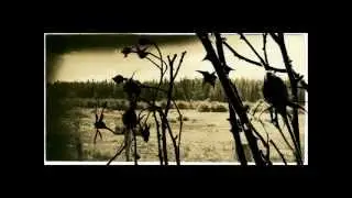 Gerhardt | beauty lies in all