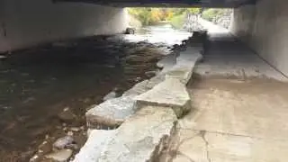 Beautiful Rochester Park in the Fall