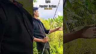 Epic Feeder Action! Raja&rsquo;s Precise Casts in Acaci Pond Fishing Challenge ⚡🐟