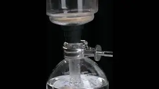 zeroHero Professional Siphon Pot