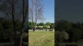 Fatima Jinnah Park F-9 Islamabad #fatimajinnahpark #f9parkislamabad #health #healthylife #walking