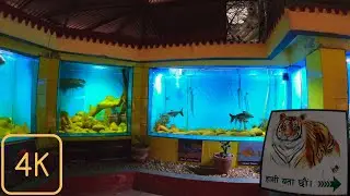 Central Zoo Jawalakhel, Lalitpur Virtual Tour, Nepal | 4k | Let's Go