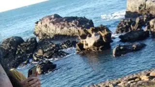 Famous Location at Taiwan Ruifang Da