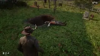 Arthur Morgan Deadly Assassin
