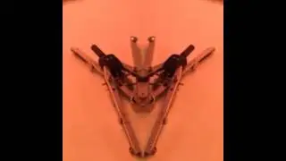 Only Within Imagination