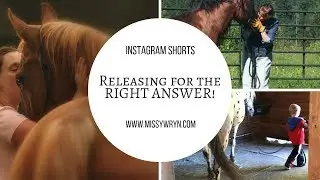 Releasing for the RIGHT Answer when Horse Training