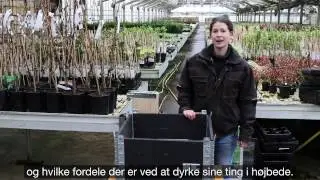 H&oslash;jbed, Maria viser de forskellige h&oslash;jbede og hvilke muligheder de giver