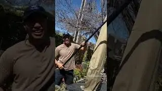 House Wash & Exterior Window Special