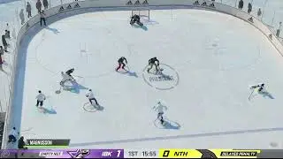 Delayed Penalty and a Goalie goal while Pulled for extra attacker