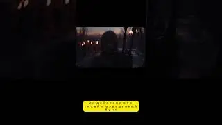 REBEL WOLFS -ЭТО АНТИПОД ААА