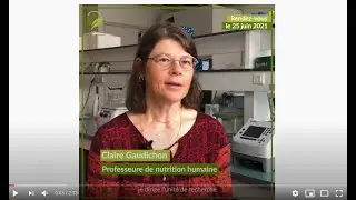 Qualit&eacute; nutritionnelle des prot&eacute;ines, biodisponibilit&eacute; des acides amin&eacute;s chez l'Homme